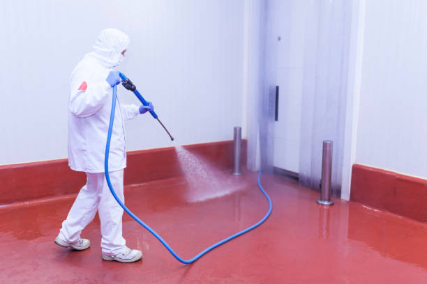 Trusted New Waverly, TX Pressure Washing Services Experts